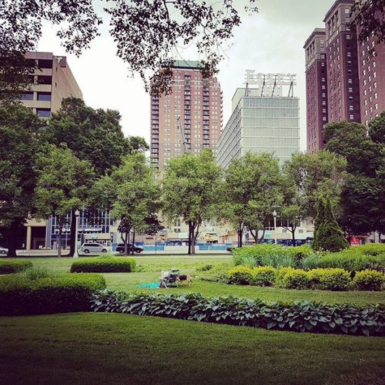 It doesn't matter where you are. Just enjoy everyday as it comes. #takecareofyourself #enjoytheday #citylife #parksandrec #doglover #lifeiswonderful #chicago #windycitylivin