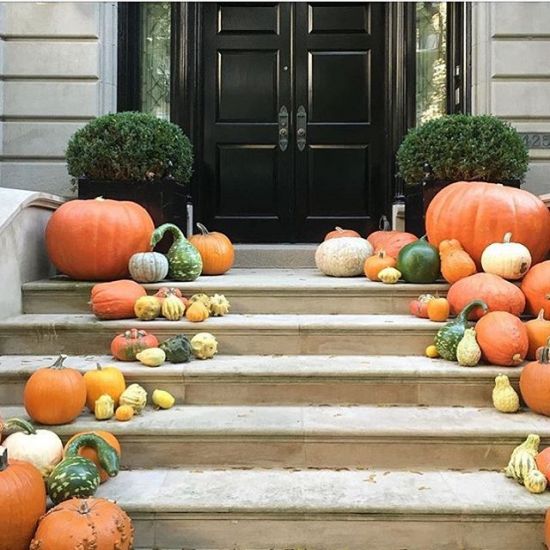 Happy October! It is finally feeling like Fall in Chicago. 