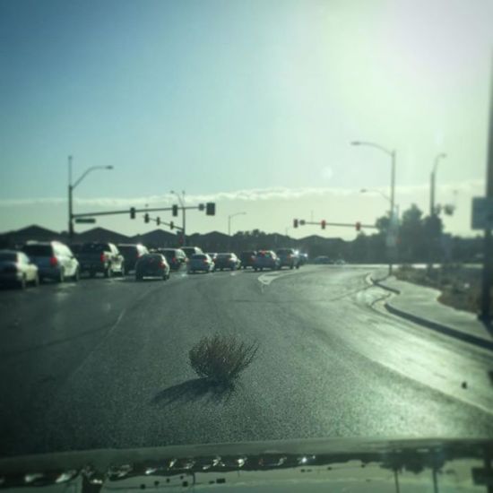 I love my city. The things that make us swerve lol. #vegas #vegasstrong #tumbleweed #windycitylivin #windycity #igdaily #igersoflasvegas #instavegas #sincity #sincitylivin #battleborn #love #ilovemycity