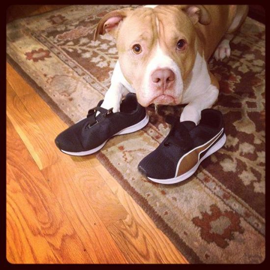 #tbt
Trying on my new kicks! 