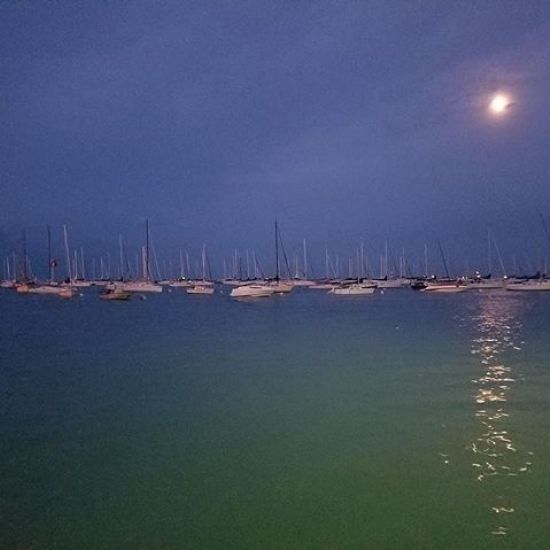 #Chicago #lakesideviews #windycityphotos #windycityshots #windycitylivin #midwest #world #night #moon #boats #bluesky #bluegreenwater #nightshot #pic #picture #downtown #illinois #instagram #lakemichigan #amazing_shots #amazing #picofthenight #views #photos #photography #bestpicture #bestpicever